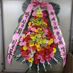 경기도남양주시 꽃배달, 경기도남양주시 꽃집, 경기도 남양주시 오남읍 진건오남로 872-7 꽃집, 양지리433-7(마평화원) 꽃집, 경기도 남양주시... 
