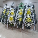경기도과천시 꽃배달, 경기도과천시 꽃집, 경기도 과천시 무네미길 35-14 꽃집, 검은하우스(과천동) 꽃집, 경기도 과천시 무네미길 35-14 꽃배달... 
