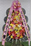 꽃집, 신원동 513-2 꽃집, 서울특별시 서초구 청계산로 68-6 꽃배달, 신원동 513-2 꽃배달 - 꽃바람 멀티24 플라워119꽃배달서비스 - 생일, 개업, 축하... 