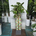 경기도화성시 꽃배달, 경기도화성시 꽃집, 경기도 화성시 봉담읍 삼천병마로 818 꽃집, 한백화훼유통 꽃집, 경기도 화성시 봉담읍 삼천병마로 818... 