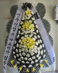 대구광역시동구 꽃배달, 대구광역시동구 꽃집, 대구광역시 동구 아양로9길 76-3 꽃집, (신암동) 꽃집, 대구광역시 동구 아양로9길 76-3 꽃배달... 
