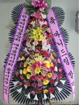 대구광역시동구 꽃배달, 대구광역시동구 꽃집, 대구광역시 동구 아양로9길 76-3 꽃집, (신암동) 꽃집, 대구광역시 동구 아양로9길 76-3 꽃배달... 