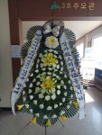 전라남도진도군 꽃배달, 전라남도진도군 꽃집, 전라남도 진도군 진도읍 옥주길 21 꽃집, 일랑일랑 꽃집, 전라남도 진도군 진도읍 옥주길 21... 