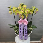 경기도화성시 꽃배달, 경기도화성시 꽃집, 경기도 화성시 봉담읍 삼천병마로 818 꽃집, 한백화훼유통 꽃집, 경기도 화성시 봉담읍 삼천병마로 818... 