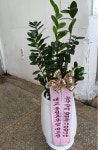충청남도부여군 꽃배달, 충청남도부여군 꽃집, 충청남도 부여군 규암면 계백로 14 꽃집, (부여소방서 앞) 꽃집, 충청남도 부여군 규암면 계백로... 