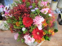 안중읍 안현로서9길 155 꽃집, 안중읍 안중리 299-8 꽃집, 경기도 평택시 안중읍 안현로서9길 155 꽃배달, 안중읍 안중리 299-8 꽃배달 - 식물나라... 