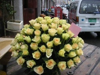 전라남도여수시 꽃배달, 전라남도여수시 꽃집, 전라남도 여수시 도원로 171-1 꽃집, (선원동) 꽃집, 전라남도 여수시 도원로 171-1 꽃배달... 