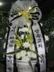 안계면 안계시장길 53-5 꽃집, 꽃집, 경상북도 의성군 안계면... 화분관엽, 난, 동양란, 서양란, 화환, 근조화환, 축하화환, 쥬얼리, 케잌, 샴페인... 