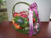 대구광역시달서구 꽃배달, 대구광역시달서구 꽃집, 대구광역시 달서구 월곡로94길 39 꽃집, (월성동) 꽃집, 대구광역시 달서구 월곡로94길 39... 