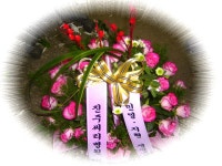 경상남도합천군 꽃배달, 경상남도합천군 꽃집, 경상남도 합천군 합천읍 충효로3길 1 꽃집, 꽃집, 경상남도 합천군 합천읍 충효로3길 1 꽃배달... 
