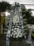 광주광역시광산구 꽃배달, 광주광역시광산구 꽃집, 광주 광산구 신가동 꽃집, 233-3번지 007플라워 꽃집, 광주 광산구 신가동 꽃배달, 233-3번지... 
