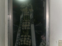 경상북도고령군 꽃배달, 경상북도고령군 꽃집, 경상북도 고령군 대가야읍 우륵로 15 꽃집, 가야금길 25 꽃집, 경상북도 고령군 대가야읍 우륵로... 