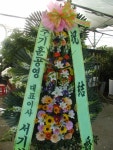 광주광역시광산구 꽃배달, 광주광역시광산구 꽃집, 광주 광산구 신가동 꽃집, 233-3번지 007플라워 꽃집, 광주 광산구 신가동 꽃배달, 233-3번지... 