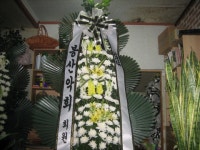 안계면 안계시장길 53-5 꽃집, 꽃집, 경상북도 의성군 안계면... 화분관엽, 난, 동양란, 서양란, 화환, 근조화환, 축하화환, 쥬얼리, 케잌, 샴페인... 