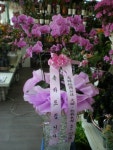 경상북도경산시 꽃배달, 경상북도경산시 꽃집, 경상북도 경산시 경안로 201 꽃집, (중방동) 꽃집, 경상북도 경산시 경안로 201 꽃배달, (중방동)... 