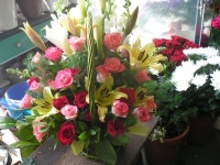 충청남도홍성군 꽃배달, 충청남도홍성군 꽃집, 충청남도 홍성군 홍성읍 월산로50번길 25 꽃집, 103호(청운빌딩) 꽃집, 충청남도 홍성군 홍성읍... 