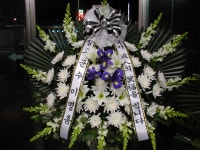 광주광역시광산구 꽃배달, 광주광역시광산구 꽃집, 광주 광산구 신가동 꽃집, 233-3번지 007플라워 꽃집, 광주 광산구 신가동 꽃배달, 233-3번지... 