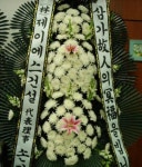 전라북도익산시 꽃배달, 전라북도익산시 꽃집, 전라북도 익산시 선화로13길 63 꽃집, (모현동1가) 꽃집, 전라북도 익산시 선화로13길 63 꽃배달... 