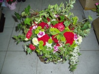 경기도용인시 처인구 꽃배달, 경기도용인시 처인구 꽃집, 경기도 용인시 처인구 포곡읍 포곡로118번길 9 꽃집, 꽃집, 경기도 용인시 처인구... 