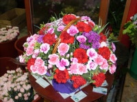 꽃집, 교육청길 45-3 꽃집, 전라남도 해남군 해남읍 읍사무소길 17 꽃배달, 교육청길 45-3 꽃배달 - 민들레꽃방 플라워119꽃배달서비스 - 생일, 개업... 