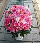 부산광역시남구 꽃배달, 부산광역시남구 꽃집, 부산광역시 남구 지게골로 67 꽃집, (문현동) 꽃집, 부산광역시 남구 지게골로 67 꽃배달, (문현동)... 