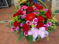 충청남도보령시 꽃배달, 충청남도보령시 꽃집, 충청남도 보령시 신평로 35 꽃집, (동대동) 꽃집, 충청남도 보령시 신평로 35 꽃배달, (동대동)... 