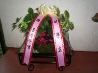 꽃집, (월성동) 꽃집, 대구광역시 달서구 월곡로94길 39 꽃배달, (월성동) 꽃배달 - 대구한국플라워 플라워119꽃배달서비스 - 생일, 개업, 축하... 