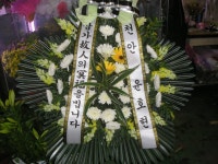 충청남도홍성군 꽃배달, 충청남도홍성군 꽃집, 충청남도 홍성군 홍성읍 월산로50번길 25 꽃집, 103호(청운빌딩) 꽃집, 충청남도 홍성군 홍성읍... 