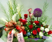 전라북도익산시 꽃배달, 전라북도익산시 꽃집, 전라북도 익산시 선화로13길 63 꽃집, (모현동1가) 꽃집, 전라북도 익산시 선화로13길 63 꽃배달... 