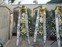 보은읍 삼산남로 20 꽃집, 1층 터미널꽃집(노래방) 꽃집, 충청북도 보은군 보은읍 삼산남로 20 꽃배달, 1층 터미널꽃집(노래방) 꽃배달... 