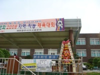전라남도완도군 꽃배달, 전라남도완도군 꽃집, 전라남도 완도군 완도읍 청해진남로 28-1 꽃집, 꽃집, 전라남도 완도군 완도읍 청해진남로 28-1... 