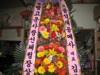 안계면 안계시장길 53-5 꽃집, 꽃집, 경상북도 의성군 안계면... 화분관엽, 난, 동양란, 서양란, 화환, 근조화환, 축하화환, 쥬얼리, 케잌, 샴페인... 
