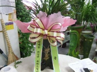 경기도연천군 꽃배달, 경기도연천군 꽃집, 경기도 연천군 전곡읍 은전로78번길 17 꽃집, 꽃집, 경기도 연천군 전곡읍 은전로78번길 17 꽃배달... 