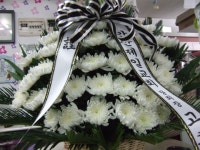 경기도연천군 꽃배달, 경기도연천군 꽃집, 경기도 연천군 전곡읍 은전로78번길 17 꽃집, 꽃집, 경기도 연천군 전곡읍 은전로78번길 17 꽃배달... 