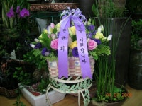 삼동로 36 꽃배달, (모종동)(모종동) 꽃배달 - 평화꽃집 플라워119꽃배달서비스 - 생일, 개업, 축하, 근조 꽃배달 전문 카테고리 꽃다발 , 꽃배달... 