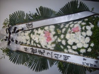 충청남도홍성군 꽃배달, 충청남도홍성군 꽃집, 충청남도 홍성군 홍성읍 월산로50번길 25 꽃집, 103호(청운빌딩) 꽃집, 충청남도 홍성군 홍성읍... 