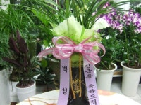 경기도연천군 꽃배달, 경기도연천군 꽃집, 경기도 연천군 전곡읍 은전로78번길 17 꽃집, 꽃집, 경기도 연천군 전곡읍 은전로78번길 17 꽃배달... 