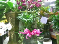 경기도연천군 꽃배달, 경기도연천군 꽃집, 경기도 연천군 전곡읍 은전로78번길 17 꽃집, 꽃집, 경기도 연천군 전곡읍 은전로78번길 17 꽃배달... 