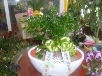 꽃집, 교육청길 45-3 꽃집, 전라남도 해남군 해남읍 읍사무소길 17 꽃배달, 교육청길 45-3 꽃배달 - 민들레꽃방 플라워119꽃배달서비스 - 생일, 개업... 