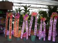 광주광역시광산구 꽃배달, 광주광역시광산구 꽃집, 광주 광산구 신가동 꽃집, 233-3번지 007플라워 꽃집, 광주 광산구 신가동 꽃배달, 233-3번지... 