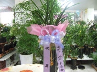 경기도연천군 꽃배달, 경기도연천군 꽃집, 경기도 연천군 전곡읍 은전로78번길 17 꽃집, 꽃집, 경기도 연천군 전곡읍 은전로78번길 17 꽃배달... 