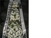 경기도평택시 꽃배달, 경기도평택시 꽃집, 경기도 평택시 안중읍 안현로서9길 155 꽃집, 안중읍 안중리 299-8 꽃집, 경기도 평택시 안중읍 안현로... 