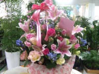 경기도연천군 꽃배달, 경기도연천군 꽃집, 경기도 연천군 전곡읍 은전로78번길 17 꽃집, 꽃집, 경기도 연천군 전곡읍 은전로78번길 17 꽃배달... 