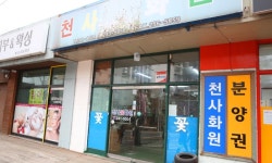 강원도춘천시 꽃배달, 강원도춘천시 꽃집, 강원도 춘천시 효제길 33 꽃집, (효자동) 천사꽃화원 꽃집, 강원도 춘천시 효제길 33 꽃배달, (효자동)... 