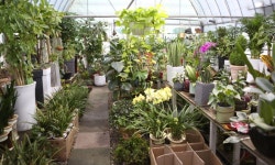 78-4케이앤플라워(연수동) 꽃집, 충청북도 충주시 금곡서1길 33-1 꽃배달, 충주시 칠지7길 78-4케이앤플라워(연수동) 꽃배달 - 케이앤플라워... 