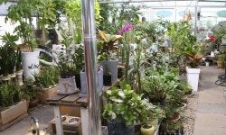 78-4케이앤플라워(연수동) 꽃집, 충청북도 충주시 금곡서1길 33-1 꽃배달, 충주시 칠지7길 78-4케이앤플라워(연수동) 꽃배달 - 케이앤플라워... 