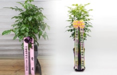 경기도포천시 꽃배달, 경기도포천시 꽃집, 경기도 포천시 소흘읍 호국로 508 꽃집, 경기도 포천시 소흘읍 이동교리 48-3 꽃집, 경기도 포천시... 