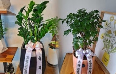 인천광역시부평구 꽃배달, 인천광역시부평구 꽃집, 인천광역시 부평구 장제로249번길 29 꽃집, 1층 플라워스토리(갈산동) 꽃집, 인천광역시... 