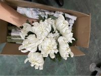 전라북도익산시 꽃배달, 전라북도익산시 꽃집, 전라북도 익산시 학곤로 78-7 꽃집, 파인빌203호(송학동) 꽃집, 전라북도 익산시 학곤로 78-7... 