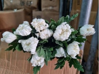 전라북도익산시 꽃배달, 전라북도익산시 꽃집, 전라북도 익산시 학곤로 78-7 꽃집, 파인빌203호(송학동) 꽃집, 전라북도 익산시 학곤로 78-7... 